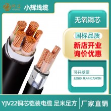 YJV22無氧銅芯鋼帶鎧裝電纜線35/50/70/120/240平方345芯低壓國標(biāo)