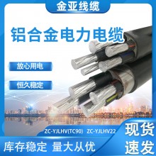 現(xiàn)貨供應(yīng)鋁合金電力電纜 工程絕緣鎧裝YJLHV22電力電纜 量大從優(yōu)